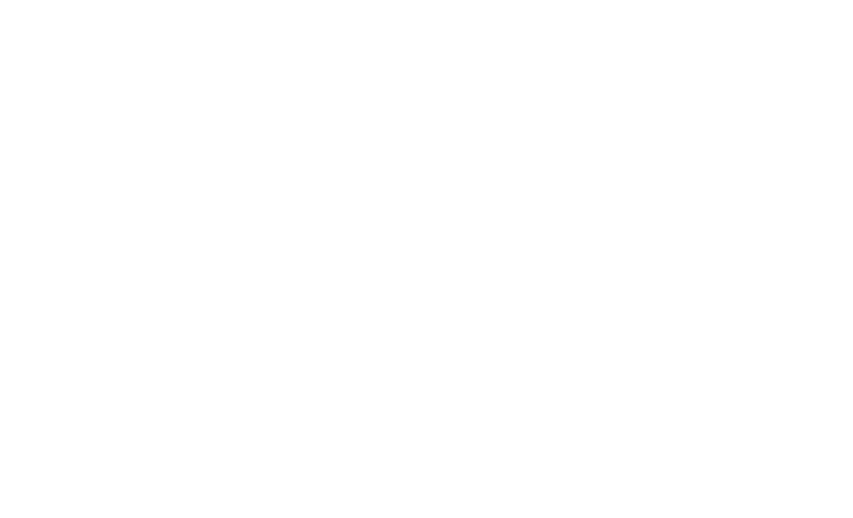 Large SFWG White logo